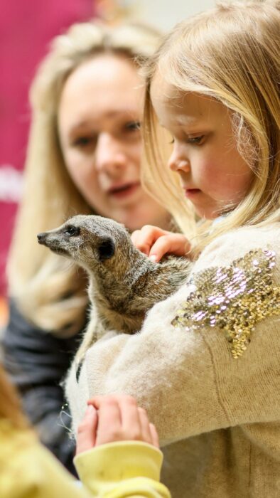 VIP Animal Encounters