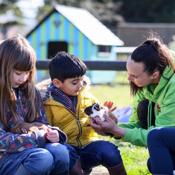 Animals Party Avon Valley