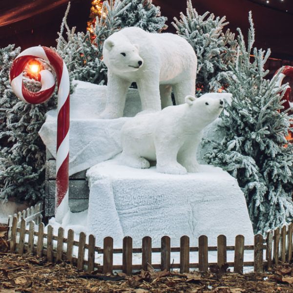 Polar Bears