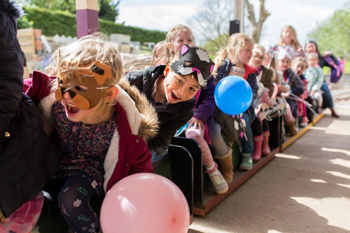 Birthday Party train avon valley